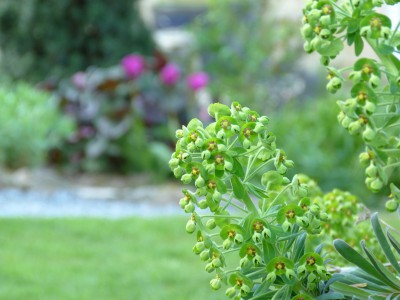 espace, campagne, nature